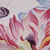 花（アネモネ）