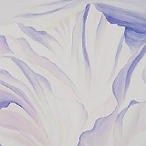 花（グラジオラス）