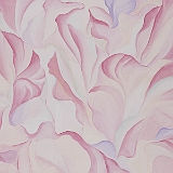 花（シクラメン）