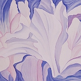 花（シクラメン）