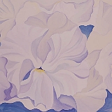 花（パンジー）