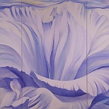 花（トルコギキョウ）