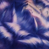 光波ー不変の定律