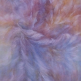 IN THE WATER IN THE SKY