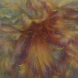 マリーゴールド